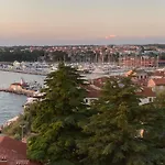 Ružica Dajla
