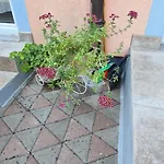 Ružica Appartamento *