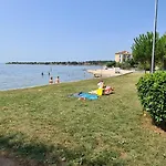 Ružica Dajla