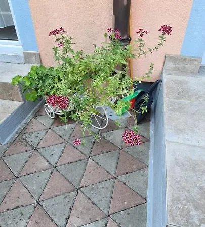 Ruzica Lägenhet *