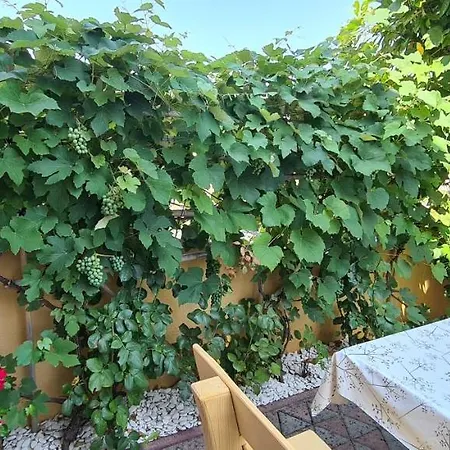 Apartmán Ruzica *