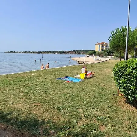 Ruzica Dajla