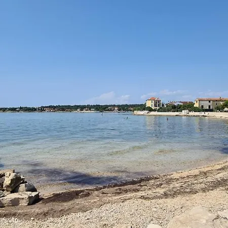Ruzica Dajla