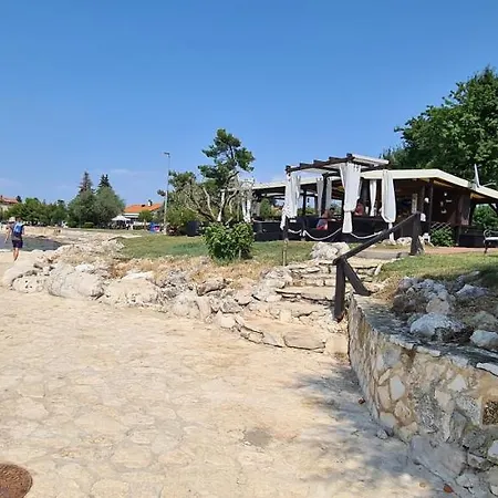 Ruzica * Dajla