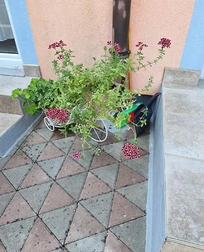 Ruzica Апартаменты *