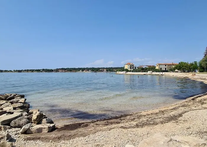 Ruzica Dajla