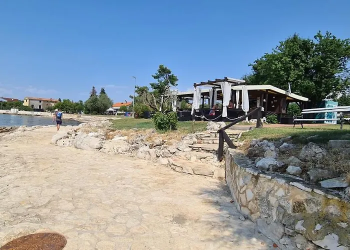 Ruzica * Dajla