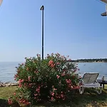 Ruzica Dajla