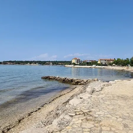 Ruzica Dajla