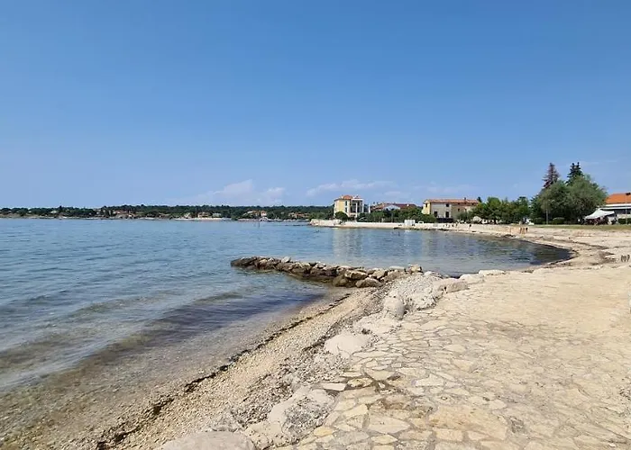 Ruzica Dajla
